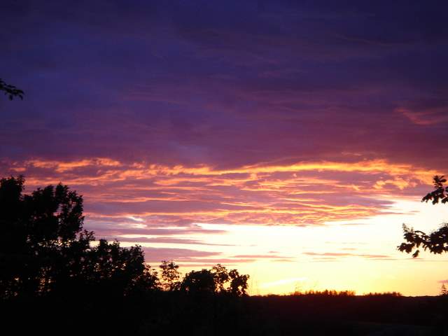 DSC00352.JPG